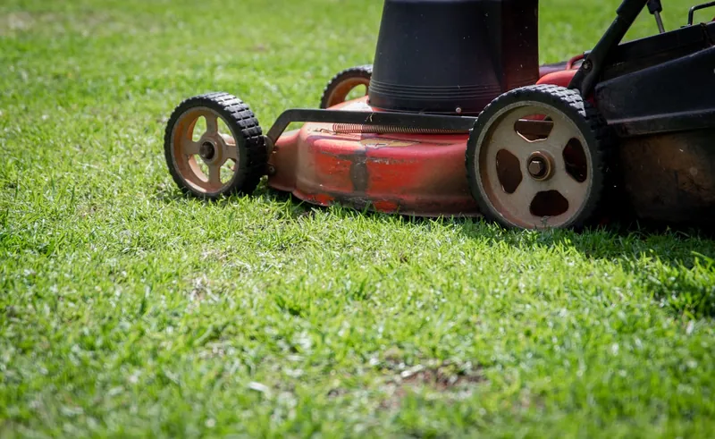 Lawn mower cutting fresh green grass
