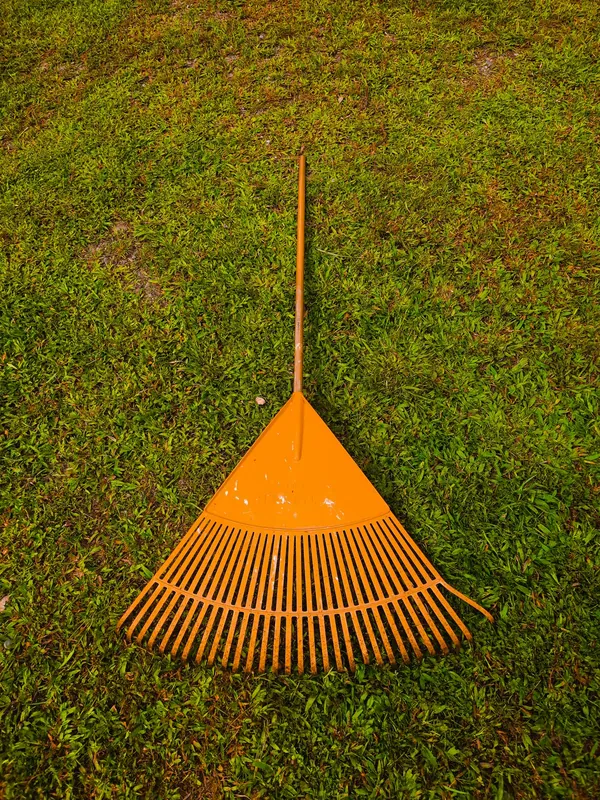 Rake on a freshly cleaned green lawn